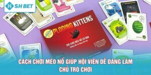 Cách Chơi Mèo Nổ Giúp Hội Viên Dễ Dàng Làm Chủ Trò Chơi