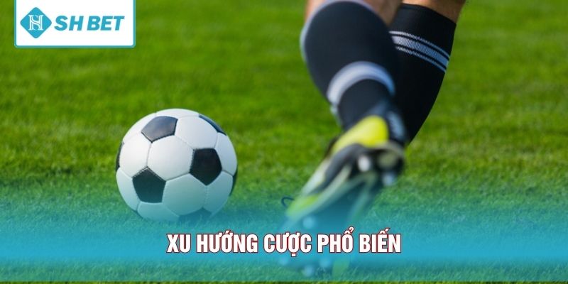 Xu hướng cược phổ biến