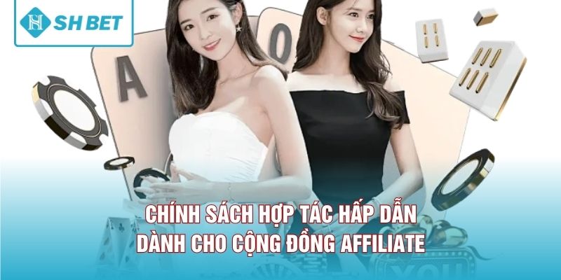 Chính sách hợp tác hấp dẫn dành cho cộng đồng affiliate 