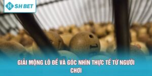 Giải Mộng Lô Đề Và Góc Nhìn Thực Tế Từ Người Chơi