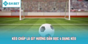 Kèo Chấp Là Gì? Hướng Dẫn Đọc 4 Dạng Kèo Handicap Chuẩn