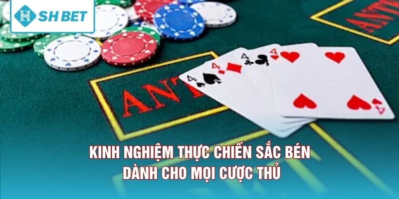 Kinh nghiệm thực chiến sắc bén dành cho mọi cược thủ. 