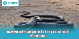 Nằm Mơ Thấy Rắn: Giải Mã Ký Ức Và Bí Kíp Chốt Số Tại SHBET