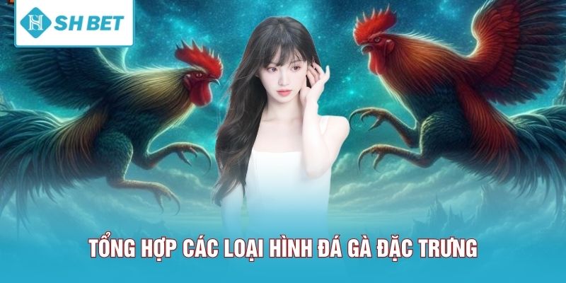 Tổng hợp thông tin về sảnh đá gà SHBET